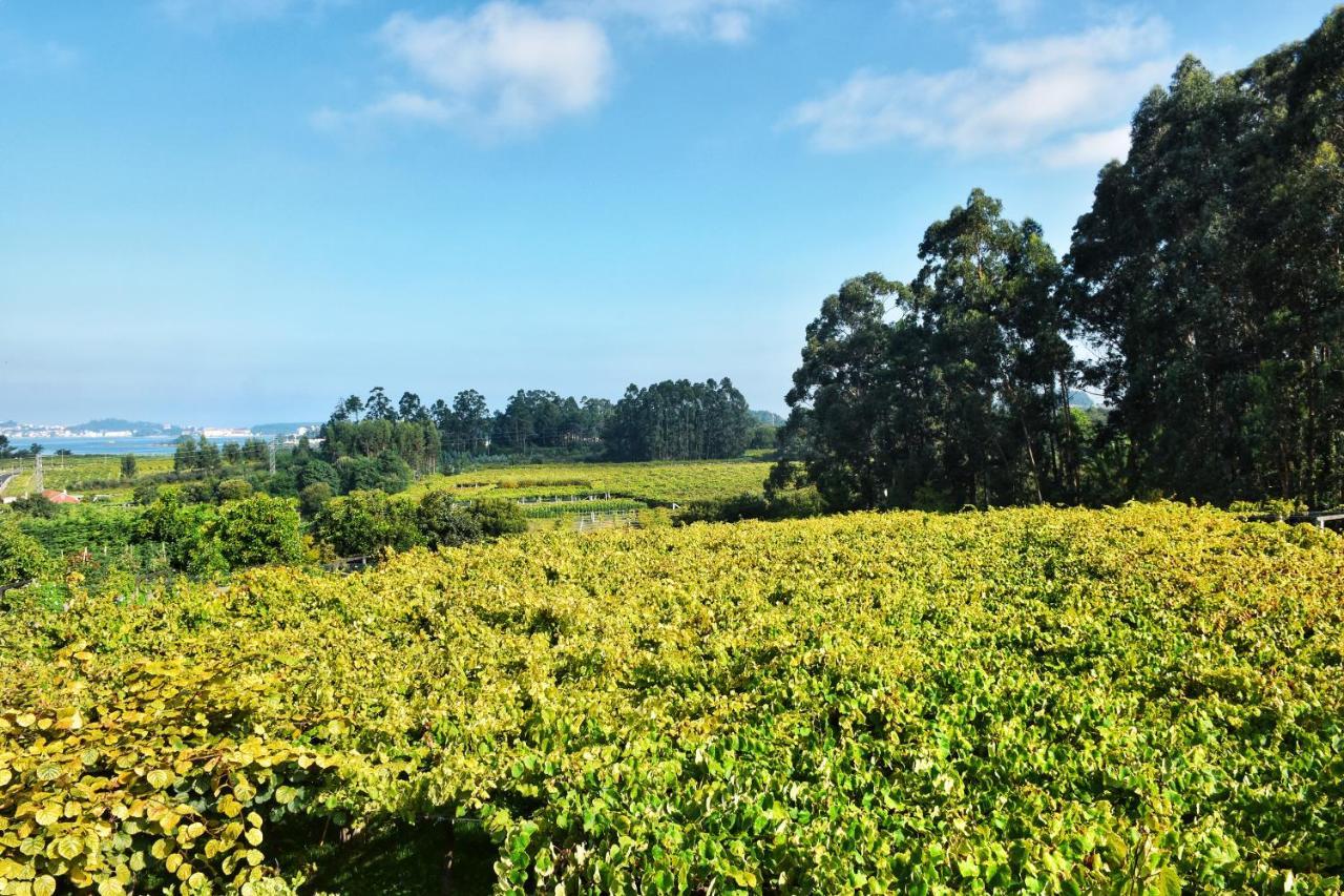 Apartamento Las Perdices Comarca de Comarca de Pontevedra Buitenkant foto